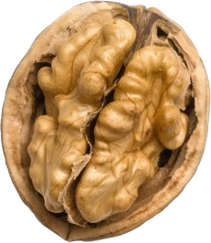 WelNuts